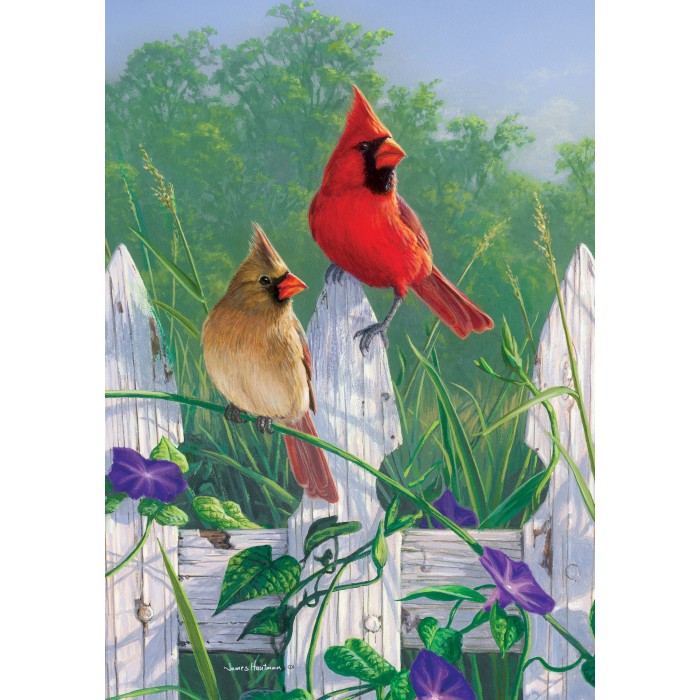 Cardinals sur la clôture ( grand 28 x 40)