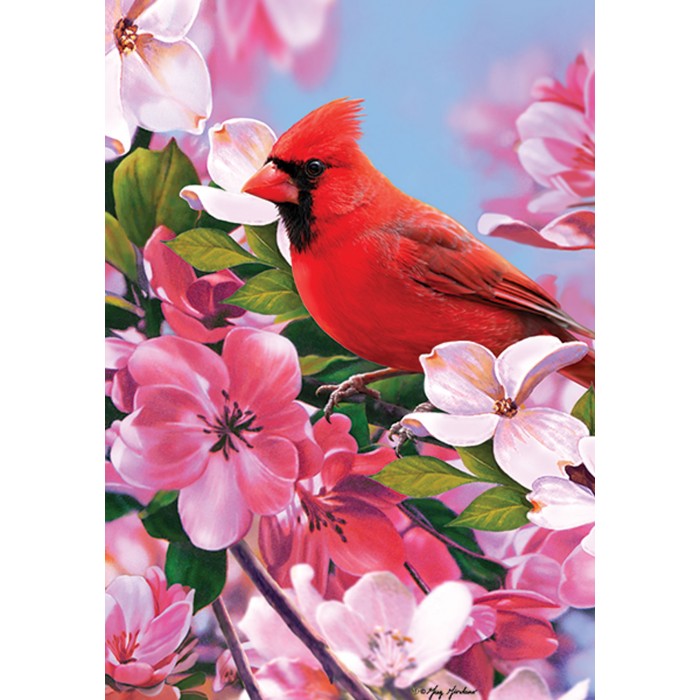 Cardinal et fleurs ( grand 28 x 40 )